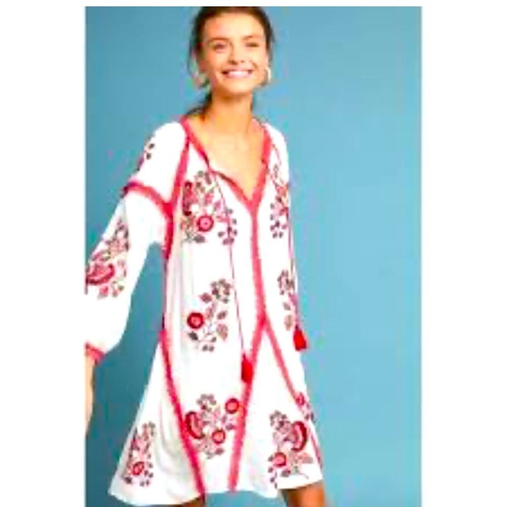 Ranna Gill Hadley embroidered tunic dress 